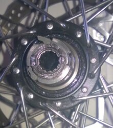 WP_20140624_004.jpg