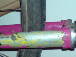 DSC00178.JPG