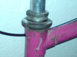 DSC00183.JPG