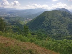 IMG_20190710_122020.jpg