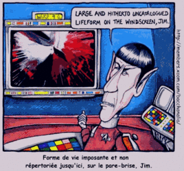 Image35.gif