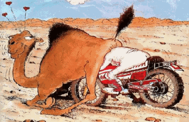 Image36.gif
