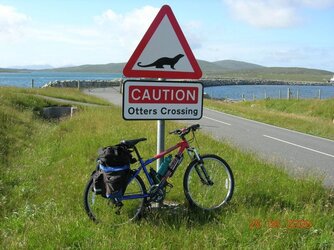 33. OTTERS CROSSING BERNERAY.jpeg