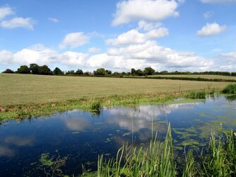 Taunton canal 16aug11 (800x600).jpg