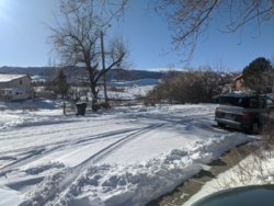 IMG_20200205_095047.jpg
