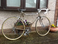 Carlton criterium for sales sale