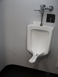 Female Urinal.jpg