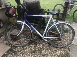Details about   RALEIGH PIONEER CLASSIC FRONT FORKS 1990S 