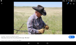Screenshot_20200425-063222.png