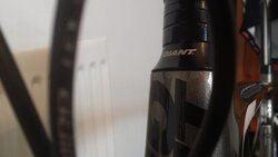 20140816_094746.jpg