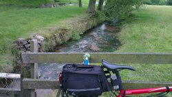 lemmingbrook.jpg