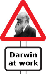 warning-sign-darwin.jpg