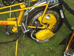 DSCF2247.jpg