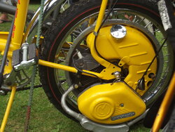 DSCF2255.jpg