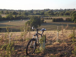 DSCF2261.jpg