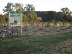 DSCF2264.jpg