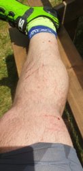 20200807_125616.jpg