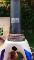 Specialized tarmac shop headset bearings