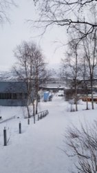 tromso track.jpg