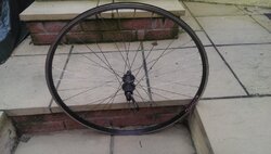 IMAG0388.jpg