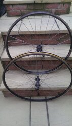 IMAG0387.jpg