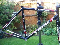 trek10.jpg trek10.jpg