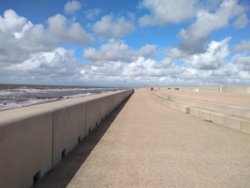 IMG_20201009_132924737.jpg