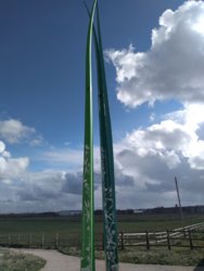 IMG_20201009_132823187.jpg