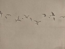 IMG_20201009_141402221.jpg