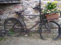Bolton Abbye 2014 009.JPG