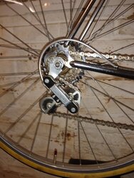 IMG_20201223_112451291.jpg