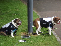 DSCF2061.JPG