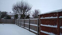 IMG_20210209_110352169.jpg