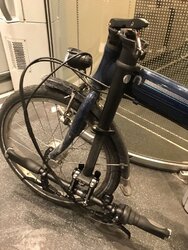 IMG_4079.JPEG