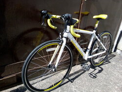 Carrera tdf junior road bike 2025