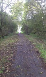 IMAG0281.jpg