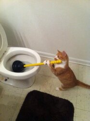 cleaner.jpg
