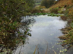 20141022_113205.jpg