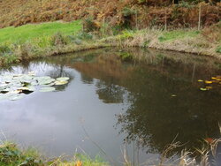 20141022_113316.jpg