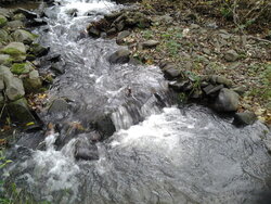20141022_113648.jpg