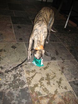 Archie crisps 1.JPG