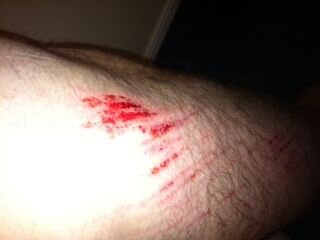 Roadrash.jpg