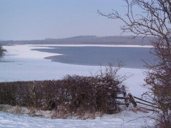 10 Feb 20120003.JPG