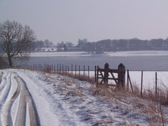 10 Feb 20120005.JPG