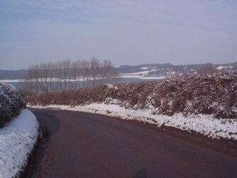 IMG_1456.JPG