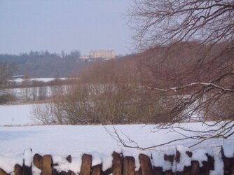 IMG_1457.JPG