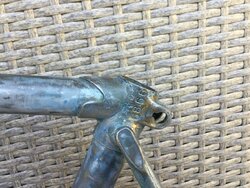C6B821F1-2967-4629-875F-7636386FCDF5.jpeg