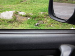 DSCF4333.JPG