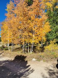 20210926_145544.jpg