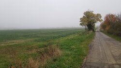 20211114_072927.jpg